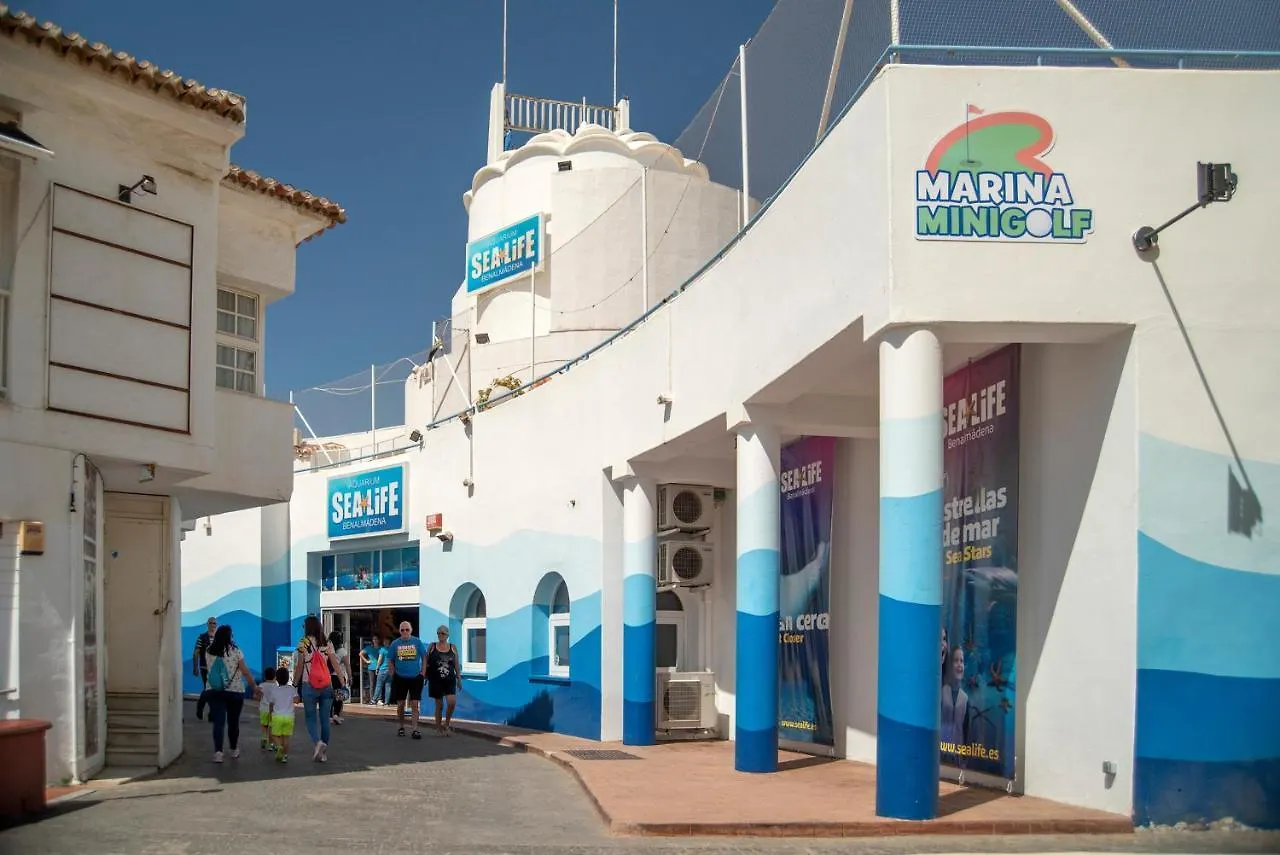 Apartment Benal Beach Superb Beach Front 1 Bedroom Apartment, Sleeps 5 Benalmadena Spain